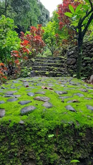 Σπίτι διακοπών Casa Riverdale Farm Stay Vallikavungal